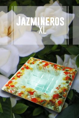 jazmineros-xl